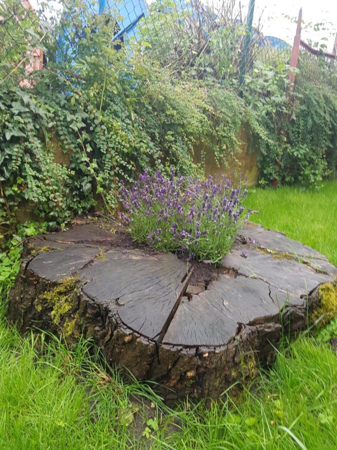 Sweet Home Sarstedt Bagian luar foto